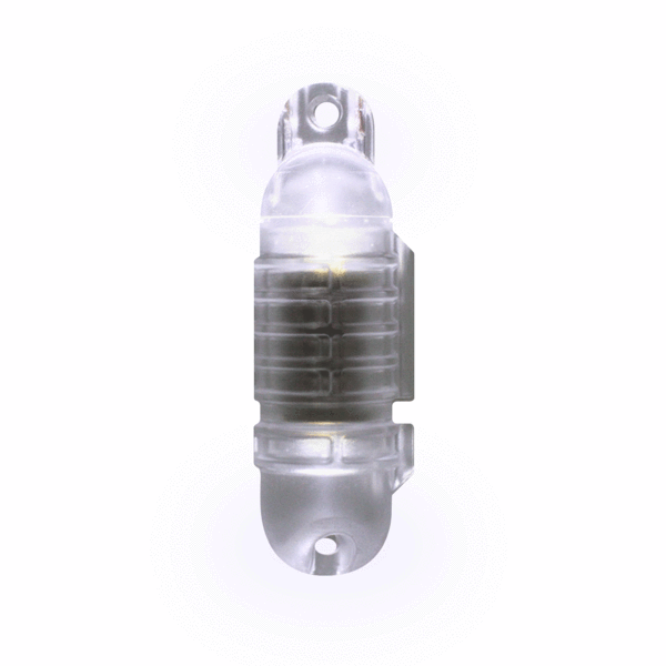 Fire Fish Bit LED Lure